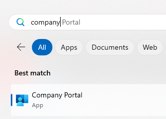 Screenshot of the Company Portal