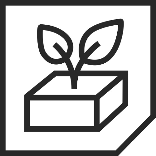 Plant sprouting from the ground