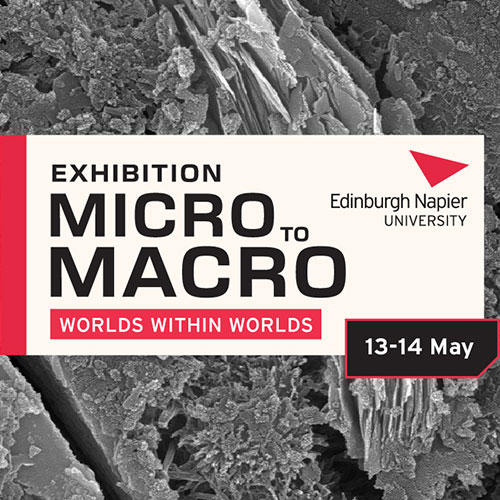 Graphic for the Micro to Macro "Worlds within Worlds" exhibition on 13-14 May