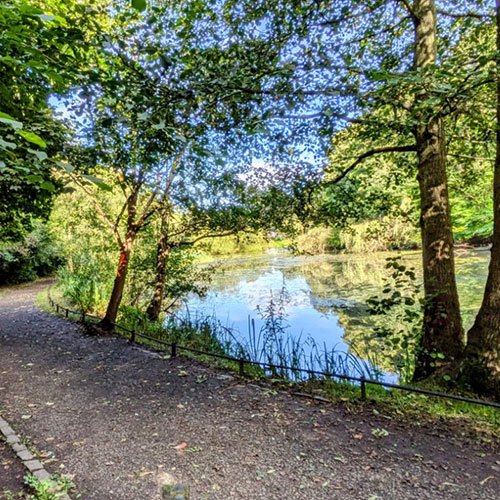 Footpath through the woods next to a river in the sunlight