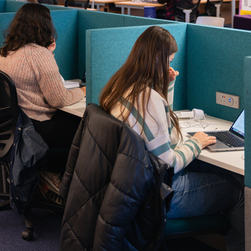 A group of students sitting in individual study booths, working with laptops