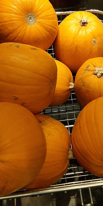 A trolley full of 8 pumpkins